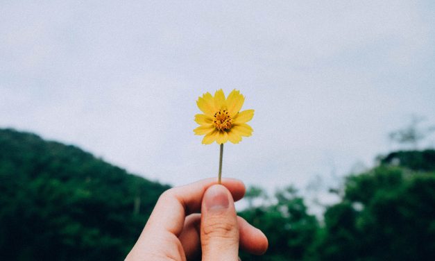 ”ADHD on vahvuuteni”