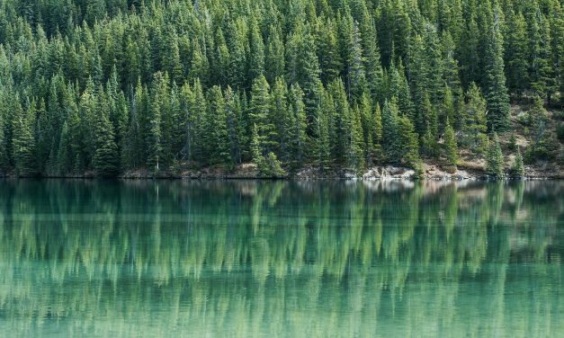 ”Diagnoosi toi pysyvyyttä elämään”