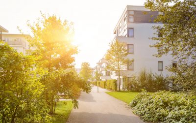 Joutomaan vihertäminen voi parantaa kaupunkilaisten mielenterveyttä