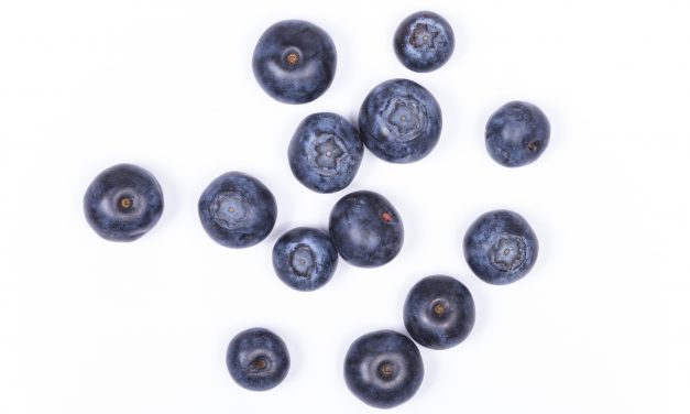 Hyvän mielen lautasmalli