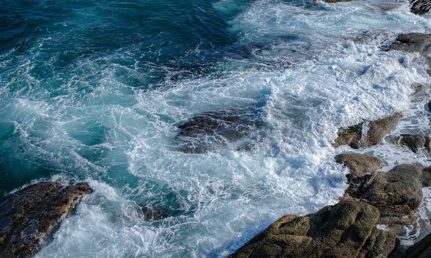 ”Mieltäni suojaa kalvo, joka ei päästä enää kaikkea läpi”