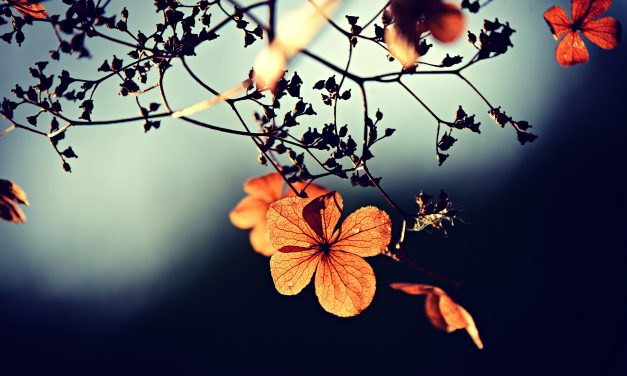 ”Paniikki kertoo herkkyydestä”