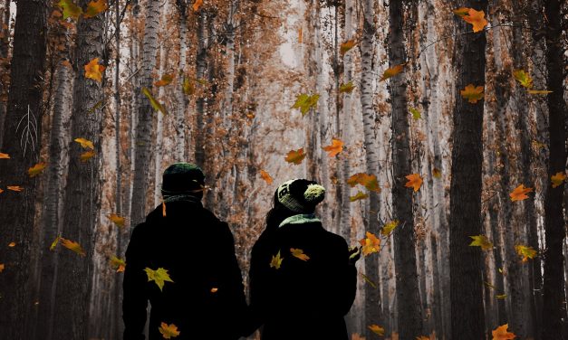 Myrkyllinen suhde pakottaa pysähtymään