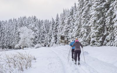 Mieli maassa? Luonnossa liikkuminen vähentää ahdistusta jo suorituksen aikana