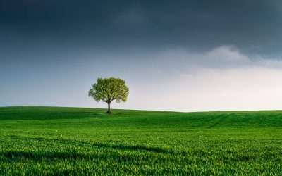 Miksi jotkut meistä kokevat yksinäisyyttä ja ulkopuolisuutta, vaikka ympärillä olisikin muita ihmisiä?