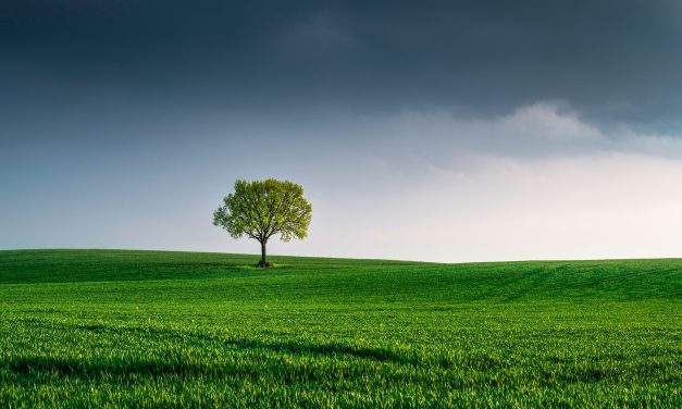 Miksi jotkut meistä kokevat yksinäisyyttä ja ulkopuolisuutta, vaikka ympärillä olisikin muita ihmisiä?