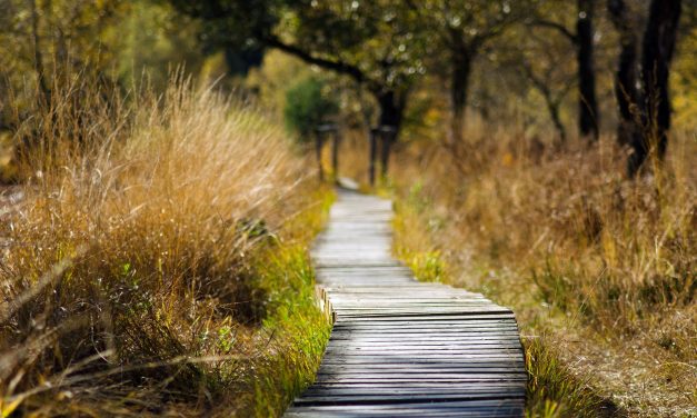 Onko elämää ilman työelämää?