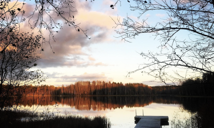 Viileään veteen! Syysuinti nostaa vireystilaa ja karaisee avantokauteen